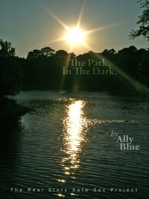 cover image of In the Park, In the Dark
